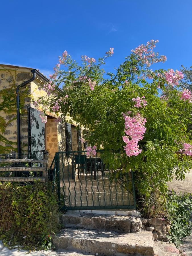 Villa Les Genets Fayence Esterno foto
