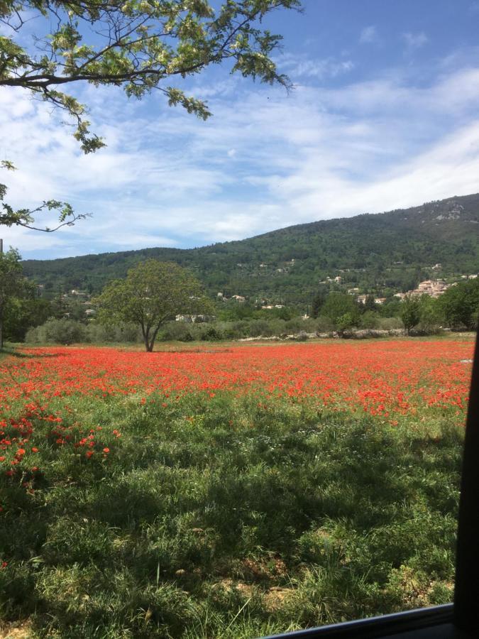 Villa Les Genets Fayence Esterno foto