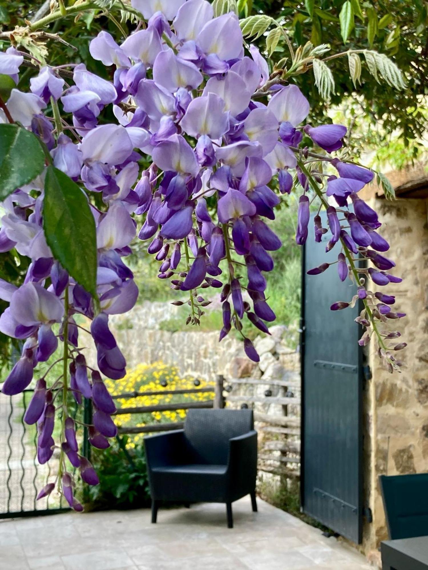 Villa Les Genets Fayence Esterno foto