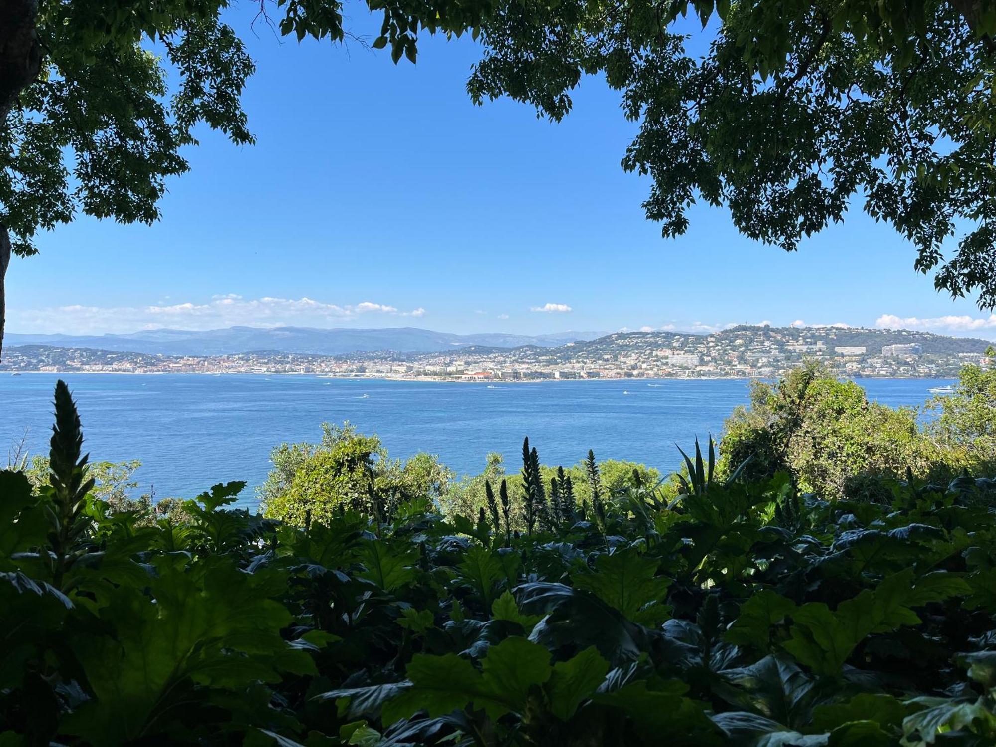 Villa Les Genets Fayence Esterno foto
